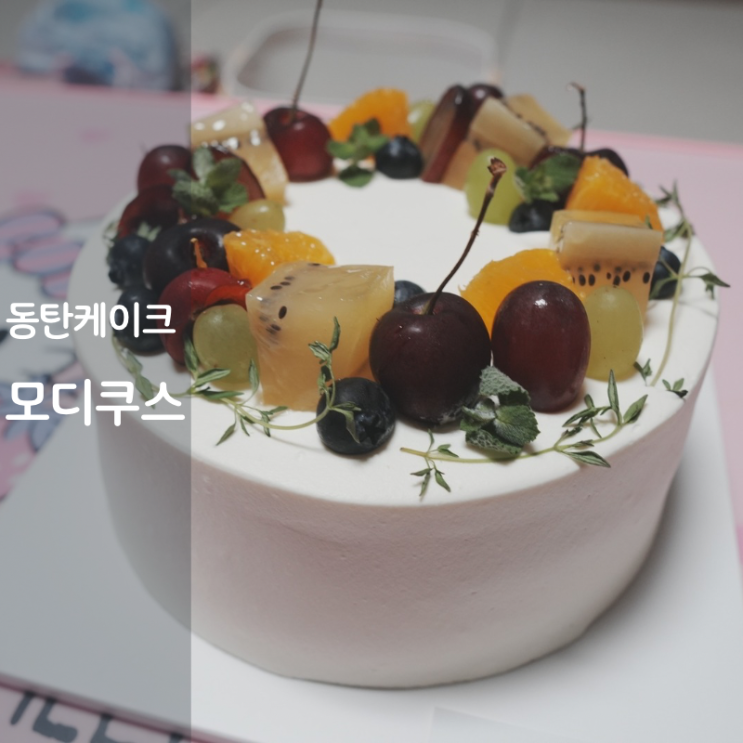  동탄 수제 생크림 과일 케이크 맛집 모디쿠스