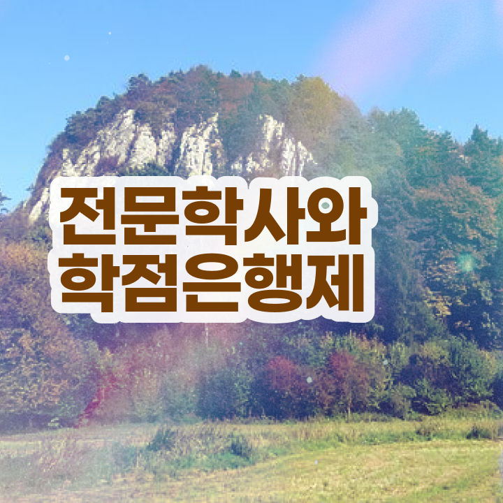  학점은행제 경영학 혼자서 독학으로 완료한 후기
