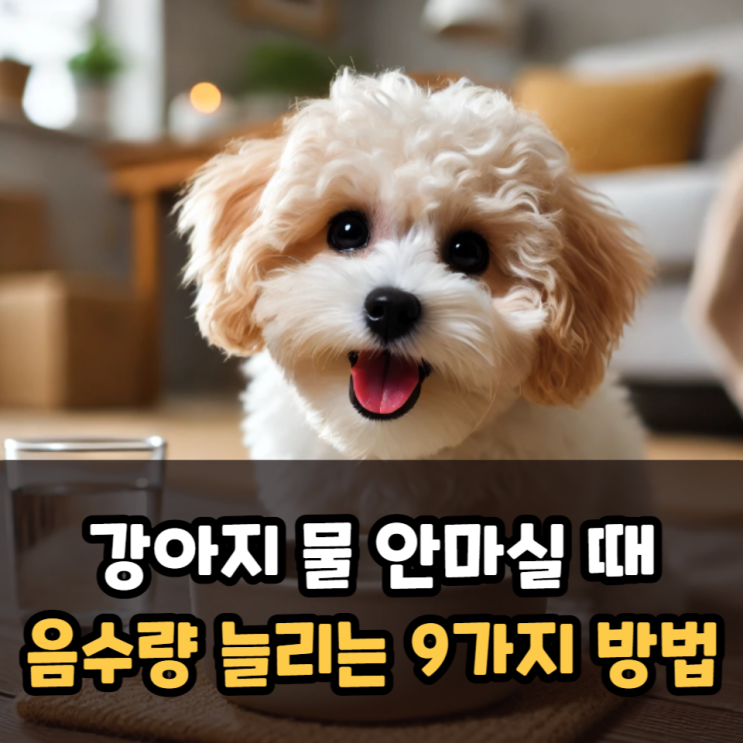  강아지 하루 음수량을 늘리는 9가지 방법