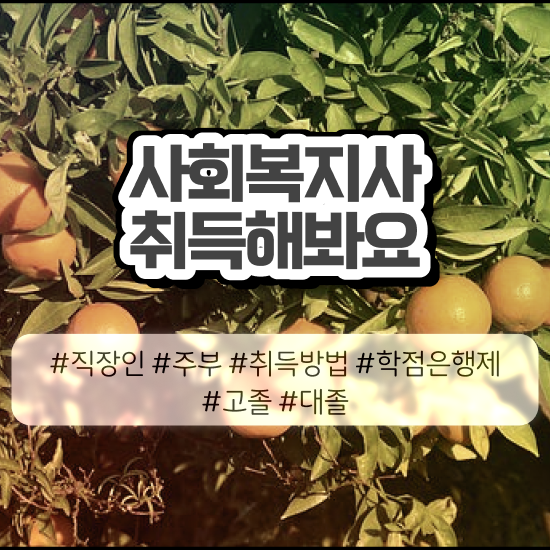  의정부 사회복지사2급 교육원 사회복지사2급 조건이 안돼도 학은제로 편하게