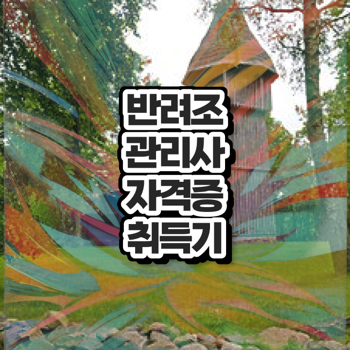  퀘이커 앵무새 가격 , 반려조관리사 자격증 취득했던 후기 정리