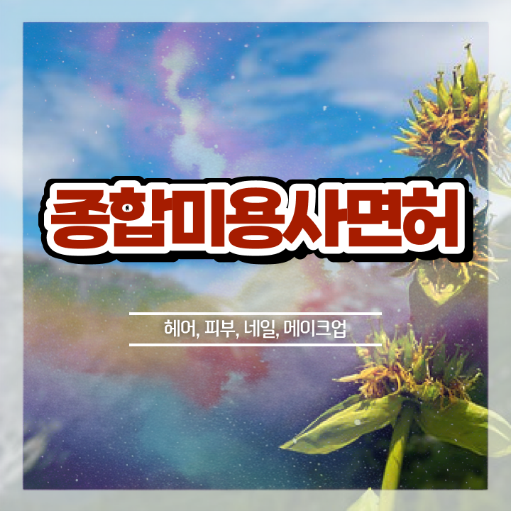  여름 네일 디자인 , 네일국가자격증 준비 할 때, 알고 있어야 하는 것은?