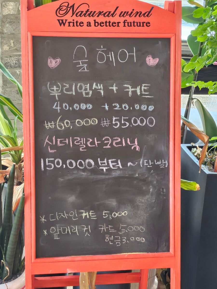 숲헤어 사진 5