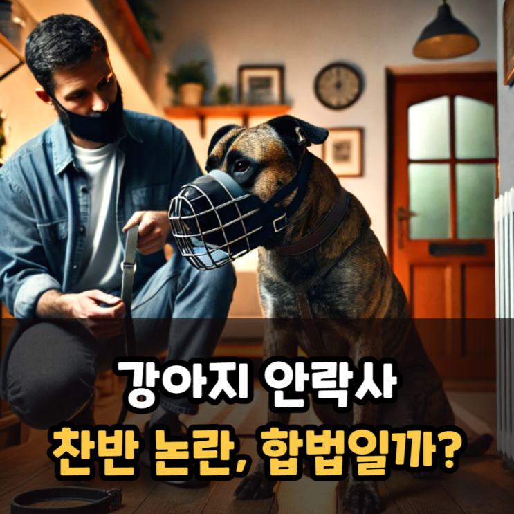  강아지 안락사 합법일까?