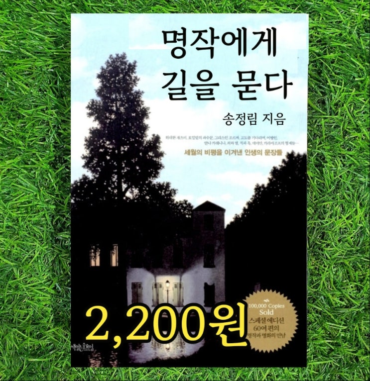  명작에게 길을 묻다 인생의 문장들 송정림 작가 2,200원 위대한 개츠비 호밀밭의 파수꾼 그리스인 조르바 이방인 데미안 죄와 벌 적과 흑 등 책 추천 도서