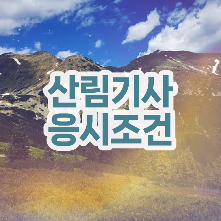  산림기사 필답형 산림기사 취득자격 온라인으로 쉽고 빠르게 준비한 전략