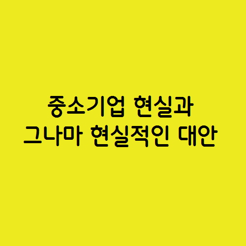  열악한 중소기업 현실과 그나마 현실적인 대안은?
