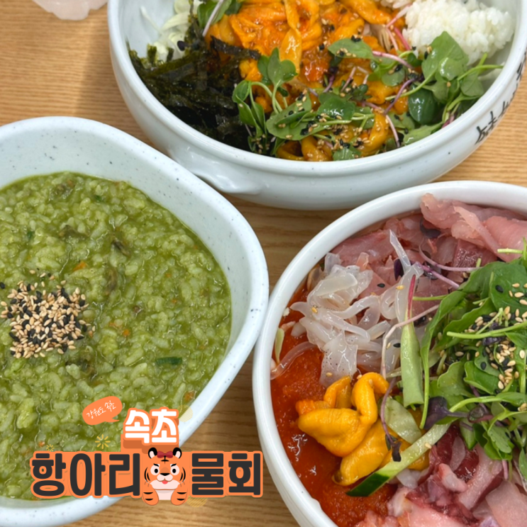  [강원 속초] 속초해수욕장 인근 대관람차뷰 물회 또또간집 내돈내산 후기