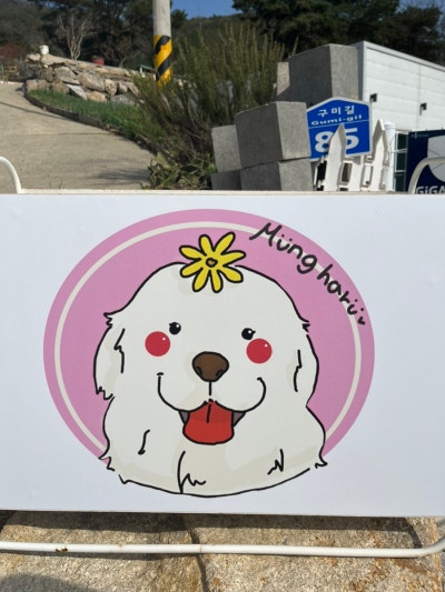 사진 11