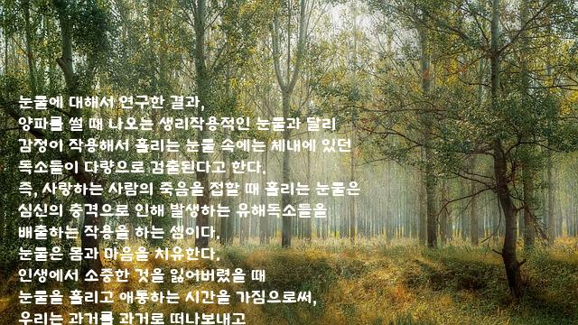 .......눈물 .......눈물
