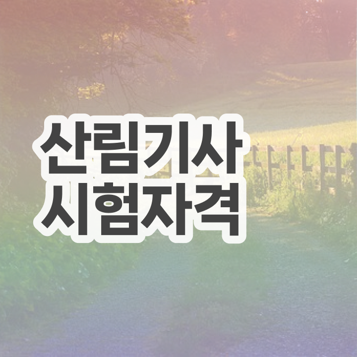  산림기사 학점은행제 산림기사 시험응시자격 온라인 수업으로 15주만에 끝낸 팁