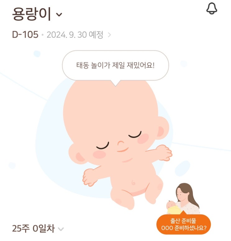 임신 25주차 | 25주 증상 꼬꼬맘 핫딜 주수사진 육아용품 쇼핑 & 정리 임신 25주차 | 25주 증상 꼬꼬맘 핫딜 주수사진 육아용품 쇼핑 & 정리