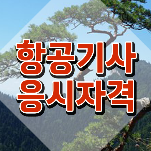 항공기사 자격요건 온라인으로 단기간에 성공한 전략