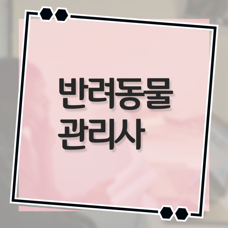  대구 강아지 훈련사 , 반려동물관리사 자격증 합격한 비법 최신정보 공유