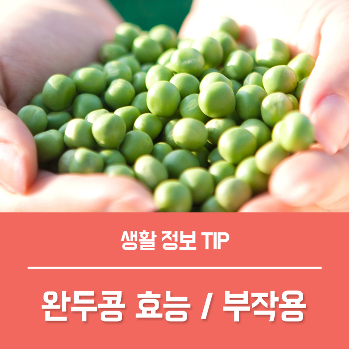  완두콩 효능 TOP5, 완두콩 영양성분과 부작용은?