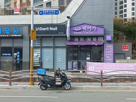 떡미가 사진 3