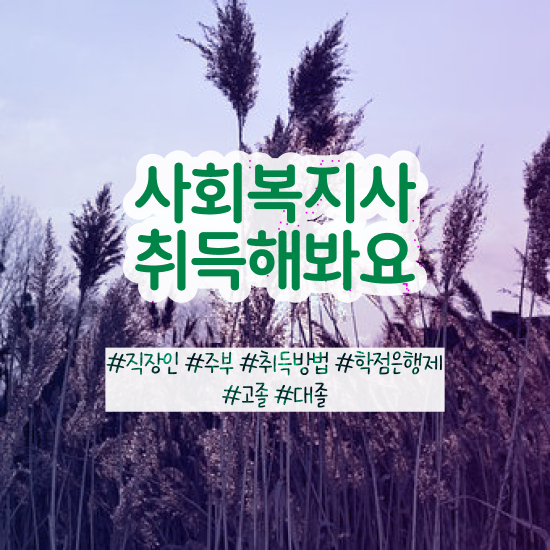  학점은행제 사회복지사 사회복지사 고졸도 온라인 과정으로 간편하게