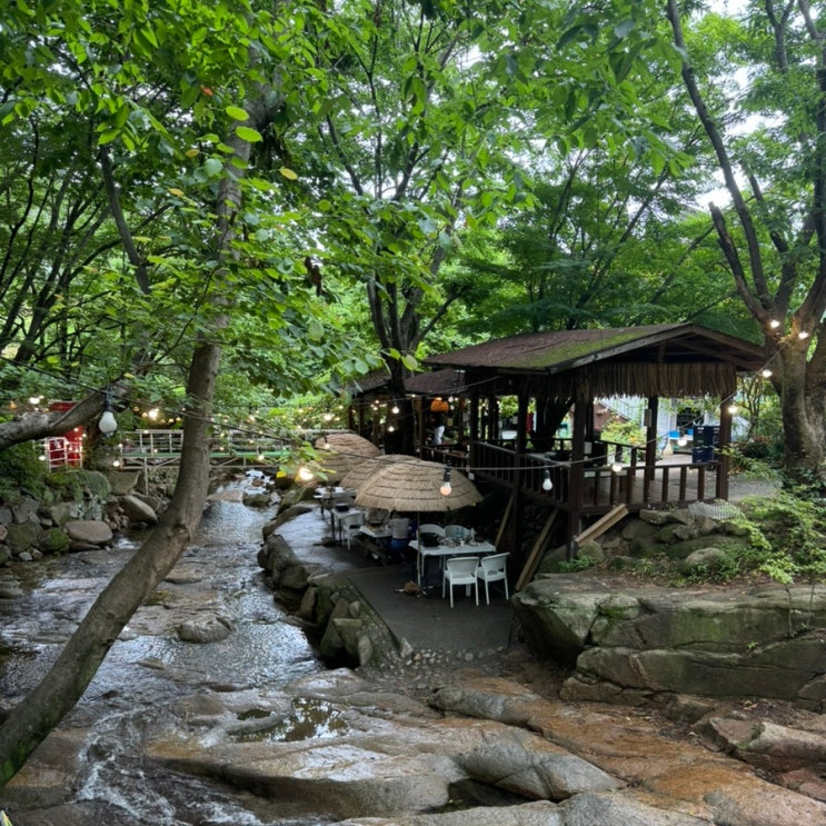  대구 근교 경산 팔공산 계곡 식당 닭백숙 개울가 식당