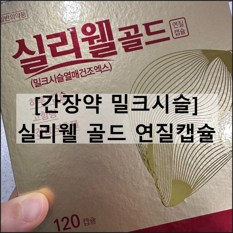  실리웰골드 / 간장약 밀크시슬 실리마린 효과 복용법 부작용