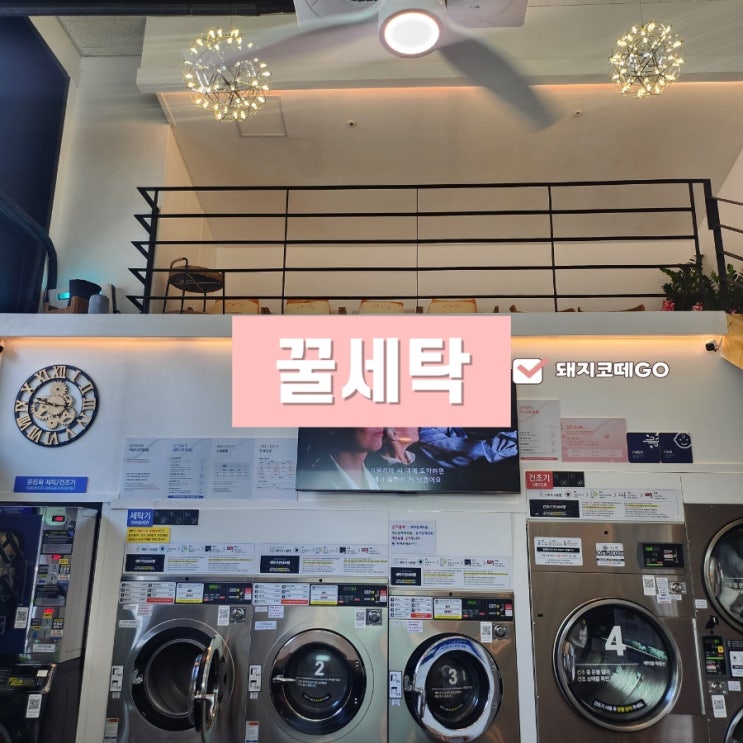  돼지코떼GO_부산셀프빨래방 꿀세탁에서 깨끗하게 세탁하세요