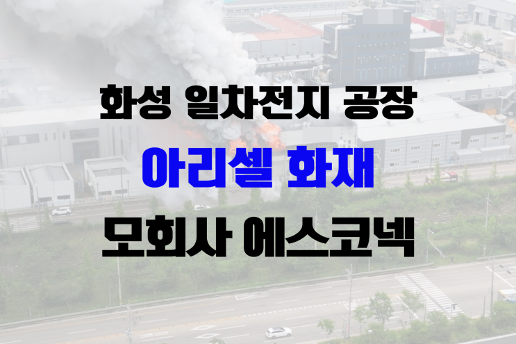 <b>아리셀</b> 화성 일차<b>전지</b> 공장... 위험한 이유(모회사 <b>에스코넥</b> 폭락)