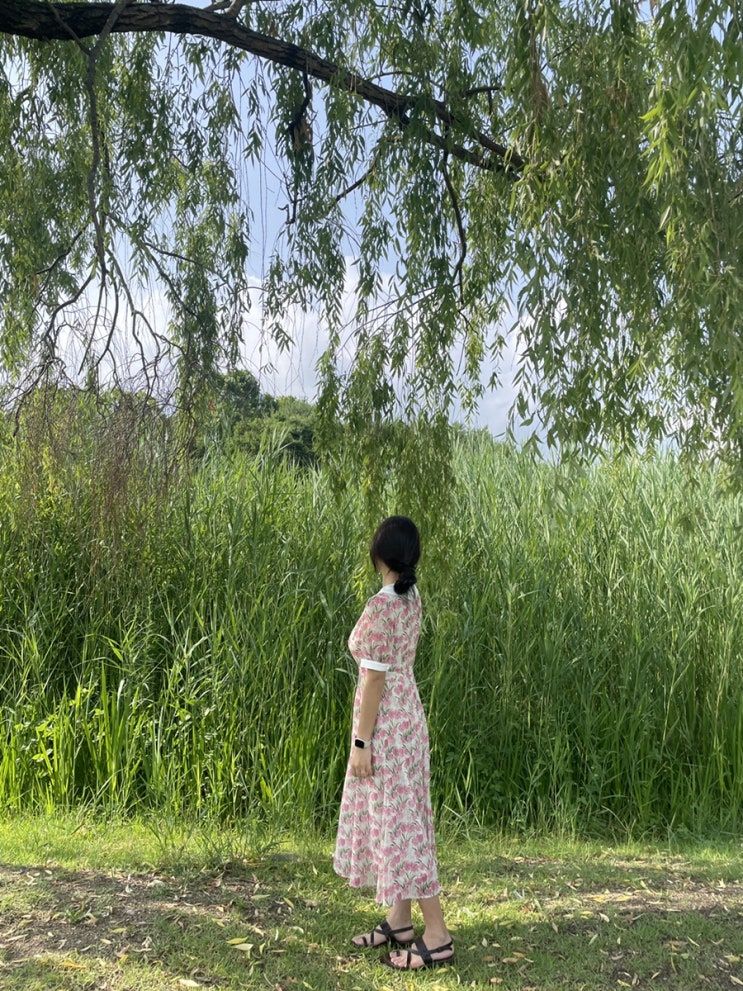  남편이랑 열심히 먹고 또 먹은 대전 여행!