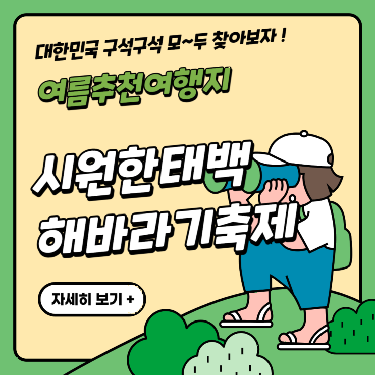  시원한 도시 태백에서 열리는 축제: 태백 백만송이 해바라기 축제