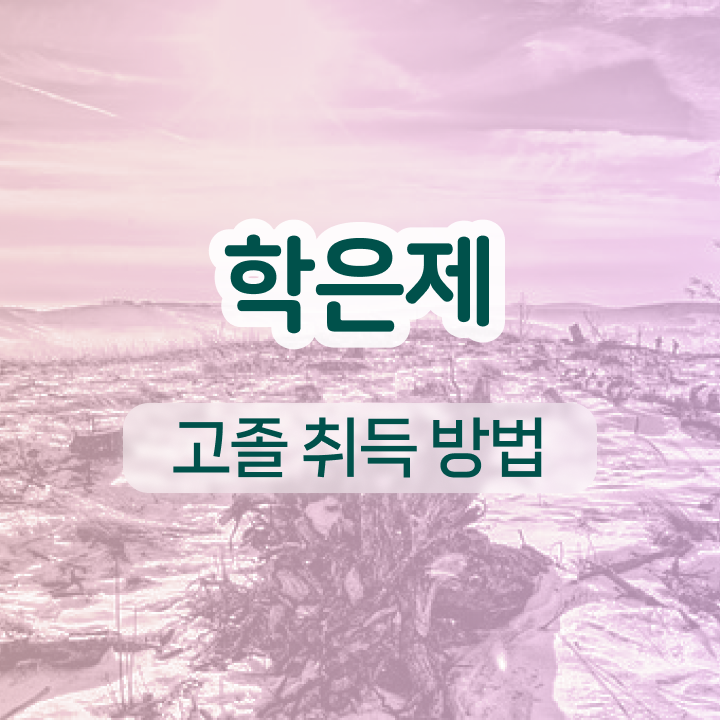  전문대 학점은행제 고졸 비전공자도 온라인 교육원 통해서 편하게 준비했던 노하우