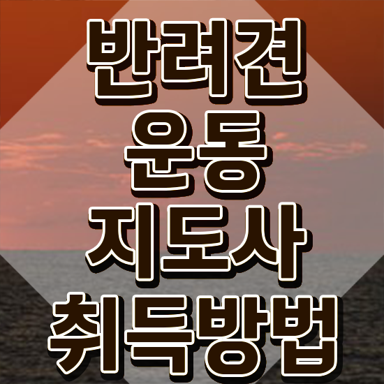  용인 강아지 운동장 , 1달 만에 반려견운동지도사 취득한 노하우 알려드립니다