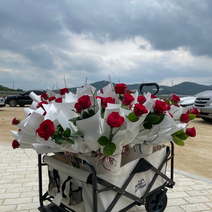  [성년의날] 장미꽃 전달