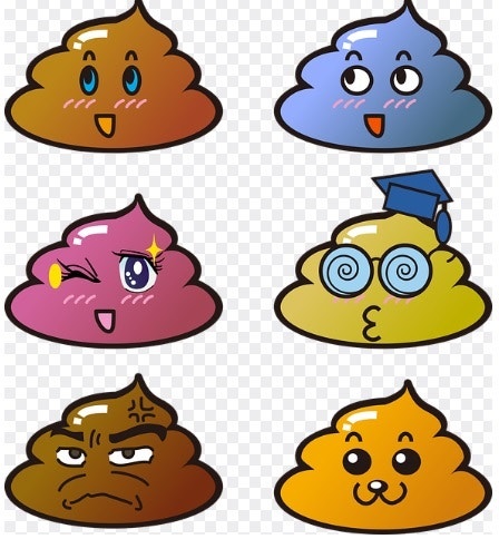 똥꿈 똥싸는꿈 똥묻는꿈 똥꿈해몽 똥꿈풀이 총모음