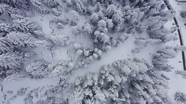  부산 사회복지교육 . 사회복지사2급 직장인도 인강 듣고 빠르게