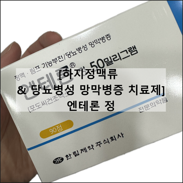  엔테론 정 50mg 150mg / 정맥순환개선제 포도씨 효과 복용법 부작용