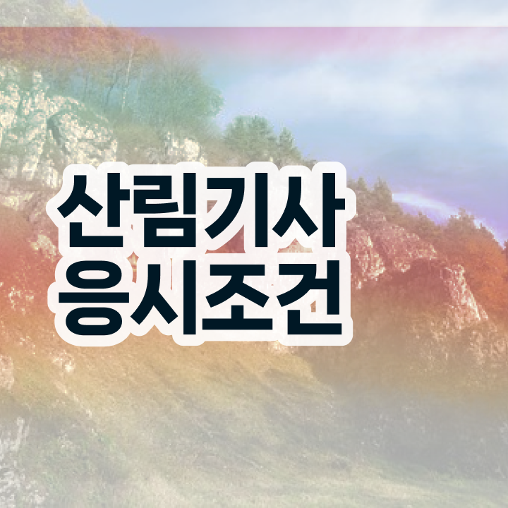  산림기사채용 산림기사 시험응시자격 온라인으로 15주만에 성공한 비법