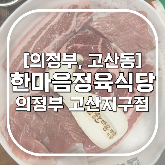  [의정부, 고산동] 한마음정육식당 의정부고산지구점 / 가성비도 좋고 가족단위로 모임하기 좋은 고산동맛집 아빠된장밥 꼭 시키세요