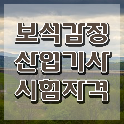  보석감정산업기사 응시조건 독학으로 1학기에 완료한 과정