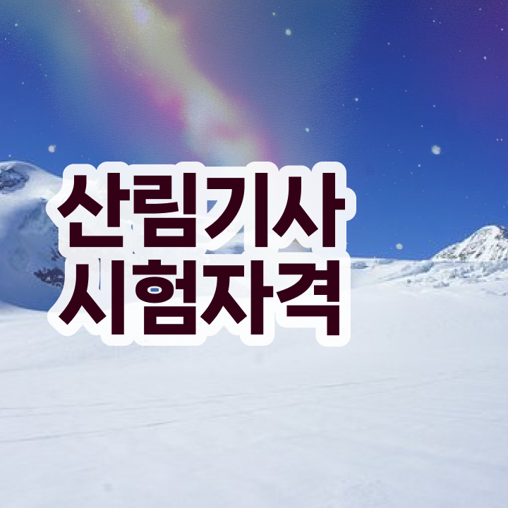  산림기사 자격증 산림기사 시험응시조건 학점은행제로 단기간에 성공한 과정