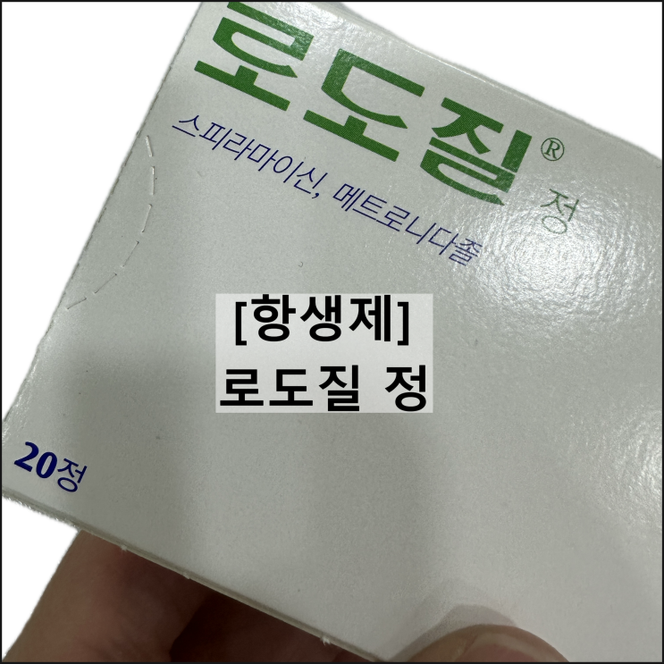  로도질 정 / 항생제 구강감염증 효과 복용법 부작용