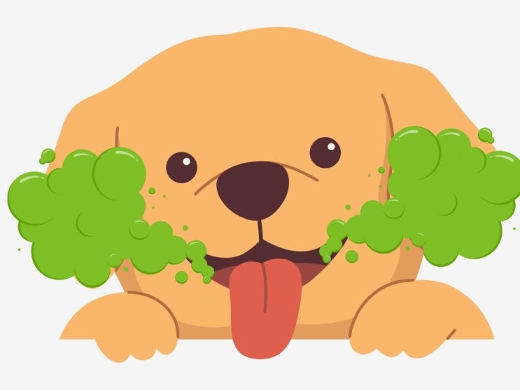  강아지 입냄새 제거 원인 찾고 2초 치약 관리했더니