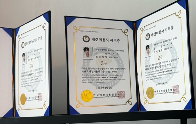  고등학생 애견미용자격증 공부해도 될까?(부모님 필독)