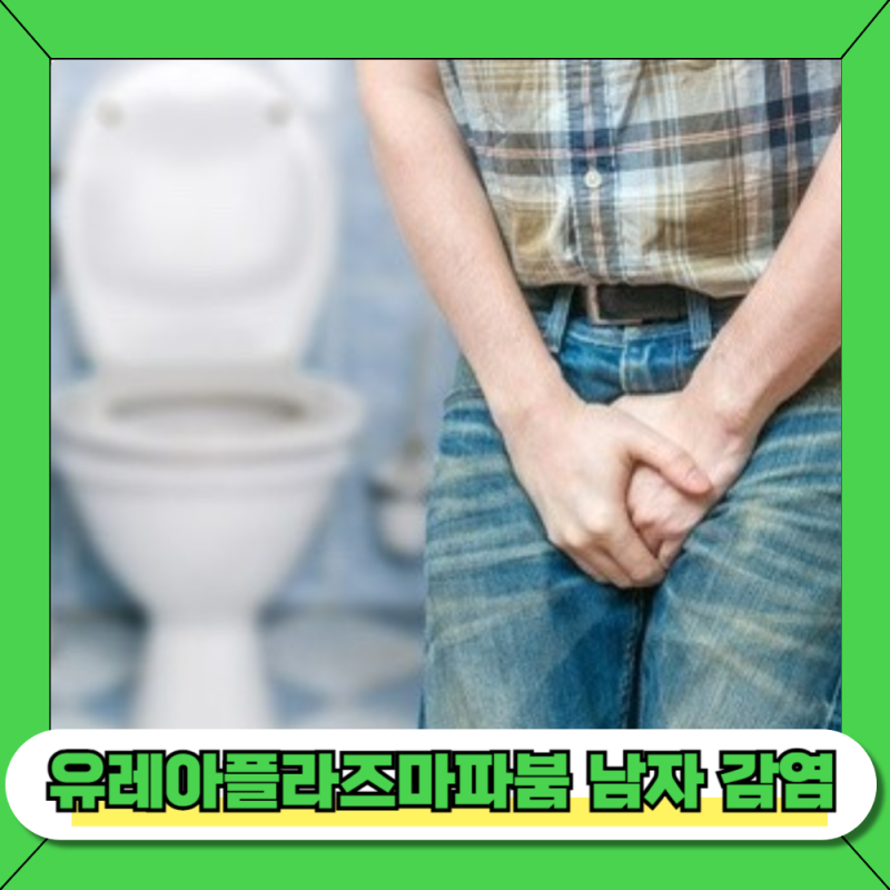 유레아플라즈마파붐 남자 감염