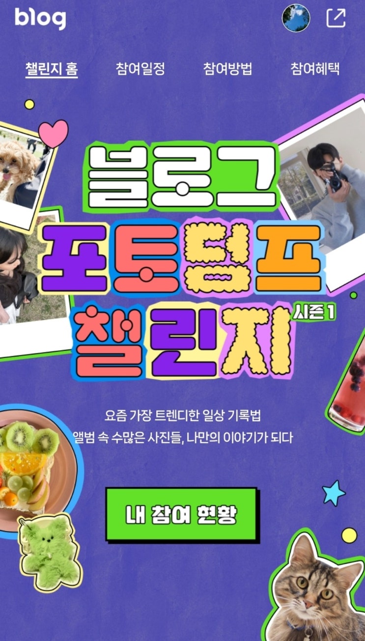  2024 블로그 챌린지(포토덤프 챌린지) 시작