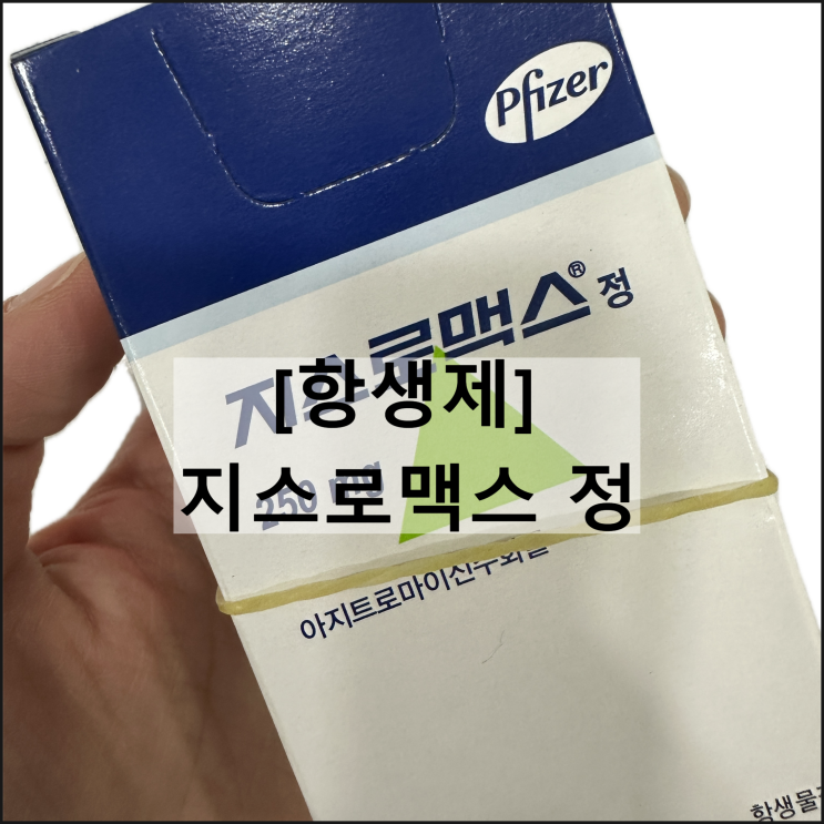  지스로맥스 정 250mg / 항생제 아지트로마이신 효과 복용법 부작용 설사