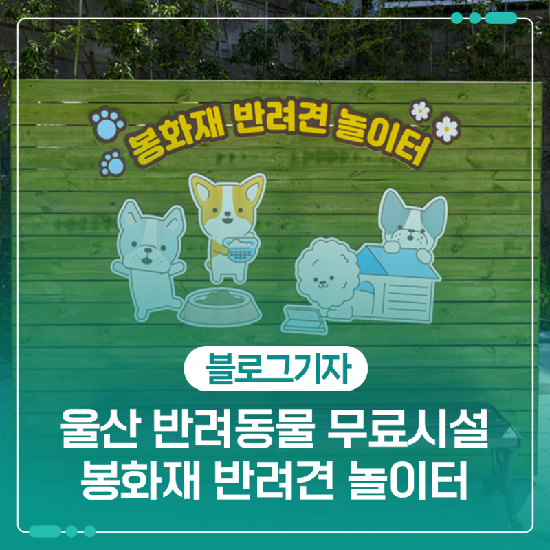 사진 5