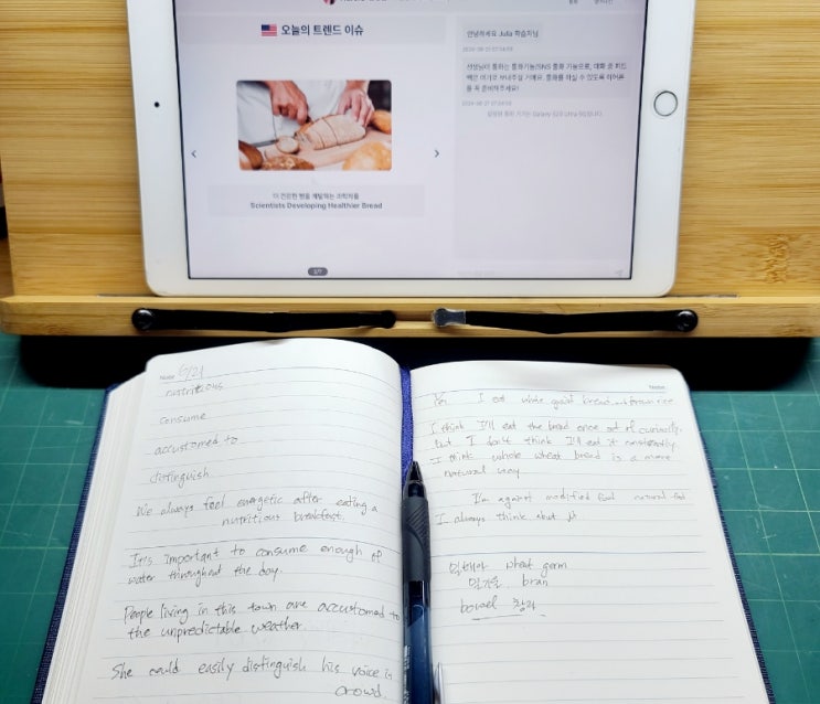  온라인 영어회화 랭디 영어 복습 출산 정책에 대한 생각