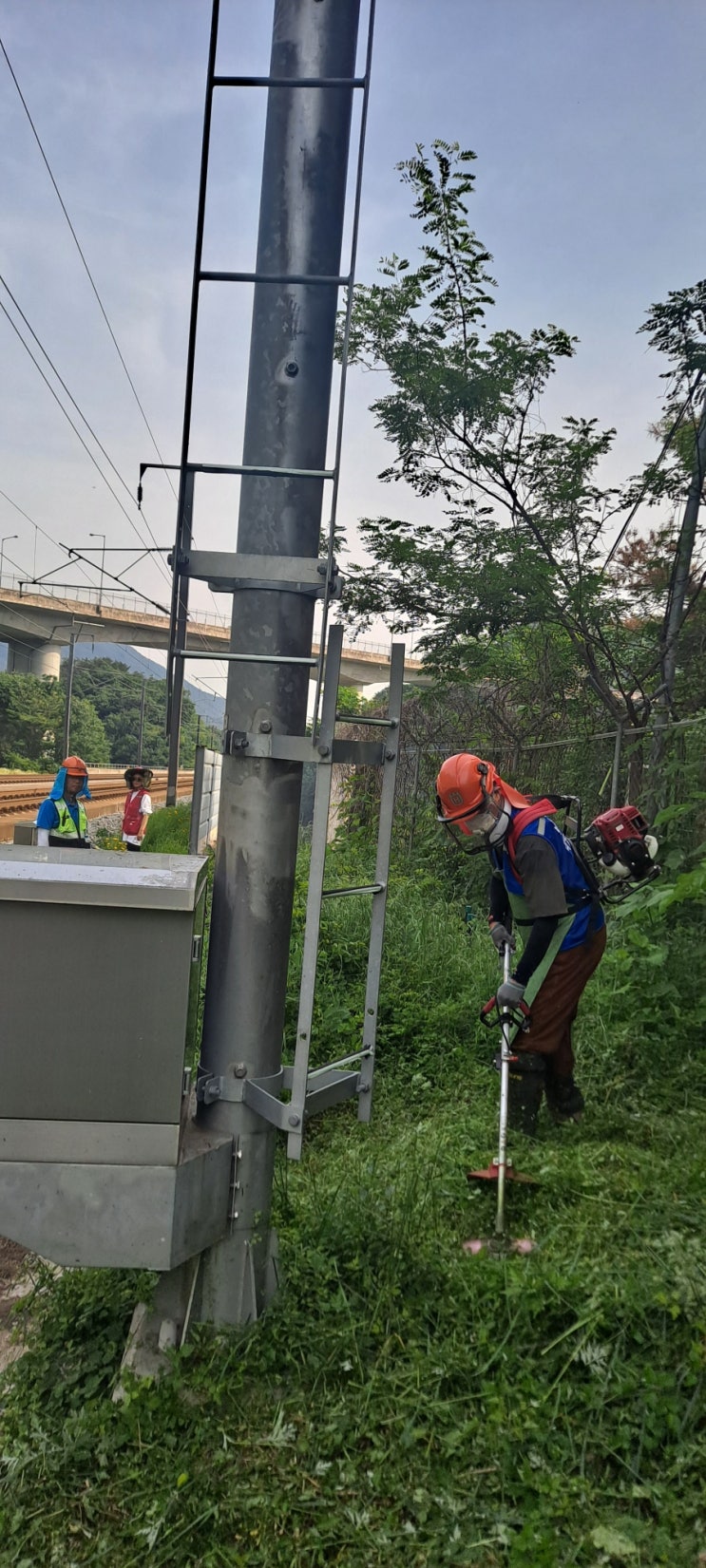  양산시 평산동 공공기관 통신설비 주변 예초대행("양산예초대행")