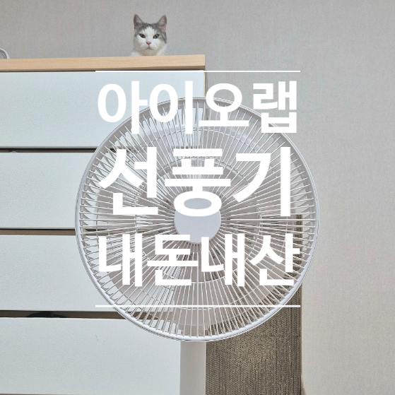  무소음 써큘레이터 선풍기 추천 아이오랩BLDC 스마트윈드 내돈내산