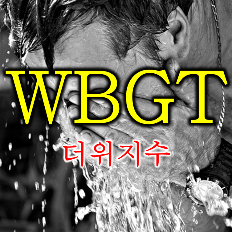  더위지수 WBGT 뜻은? (feat. 습구흑구온도)