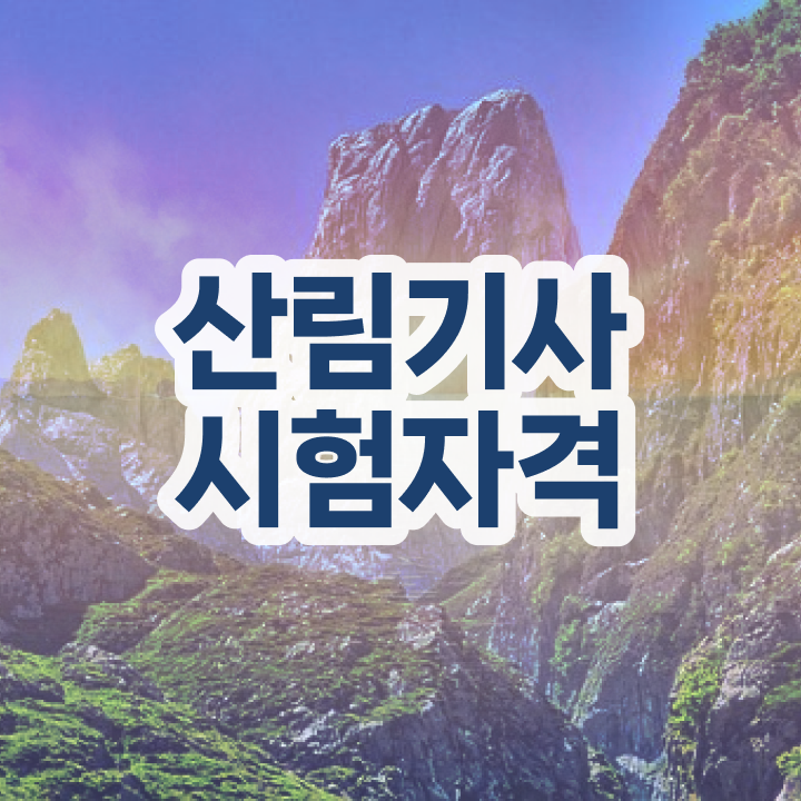  산림 기사교재 산림기사 시험자격 집에서 온라인으로 4달만에 완료한 비법