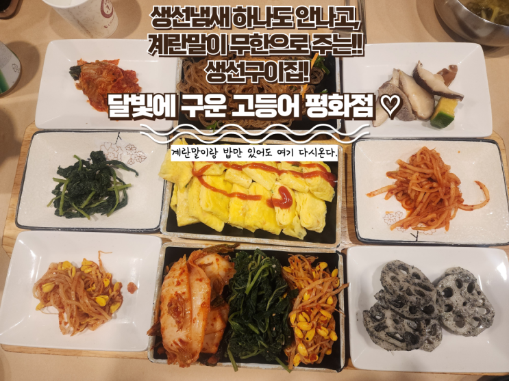  전주 평화동 맛집 : [달빛에구운고등어 평화점] 내돈내산 평화동 점심맛집, 냄새하나도 안나는 생선구이집!